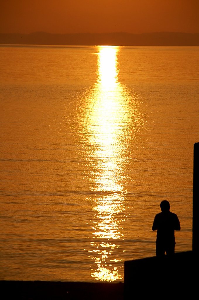 黄金色の夕陽