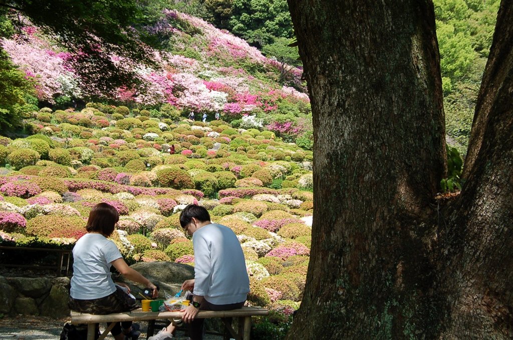 若い二人の世界
