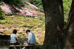 若い二人の世界