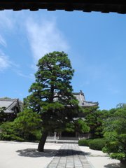 夏の寺