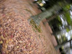 ぐるっと－－目が回る