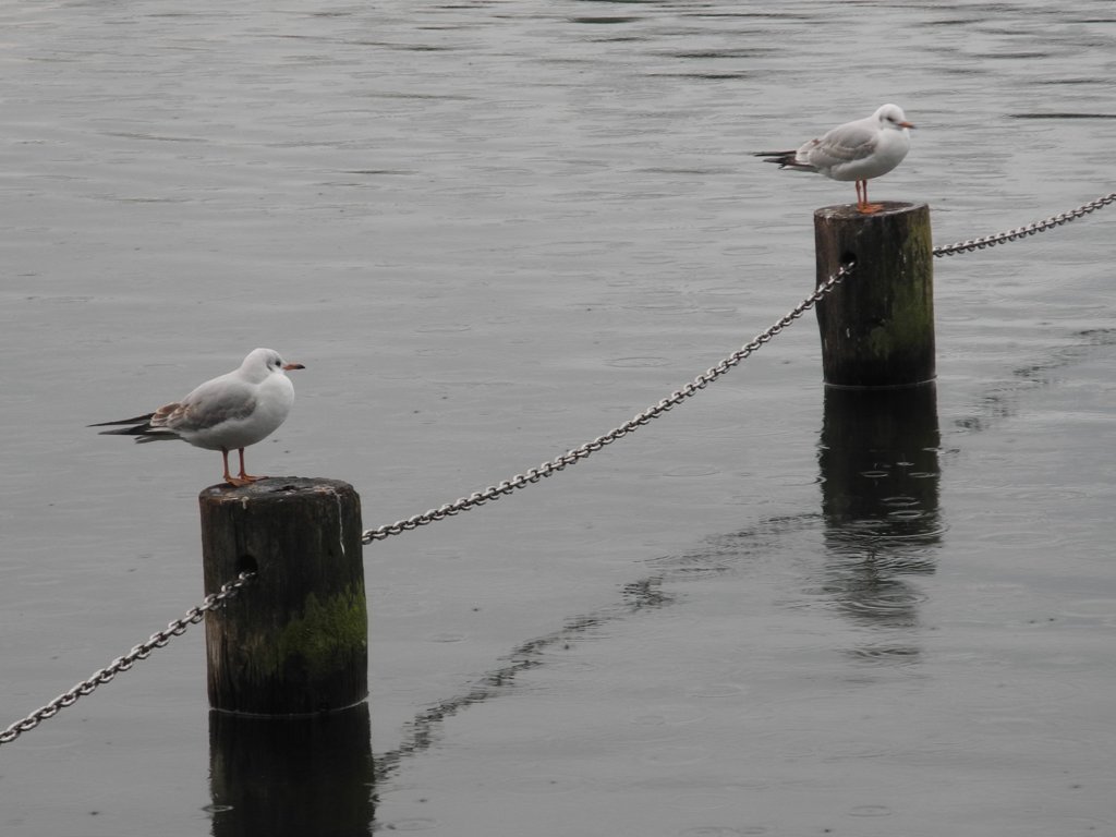 一休みもいいな－－