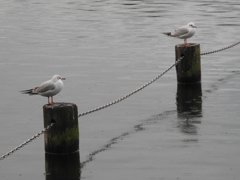 一休みもいいな－－