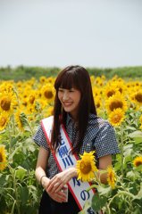 柳川　水の精とひまわり