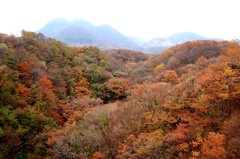 大分県　長者原付近