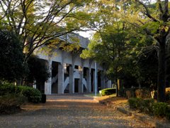 秋のスタジアム