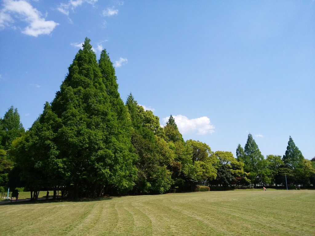 近くの公園