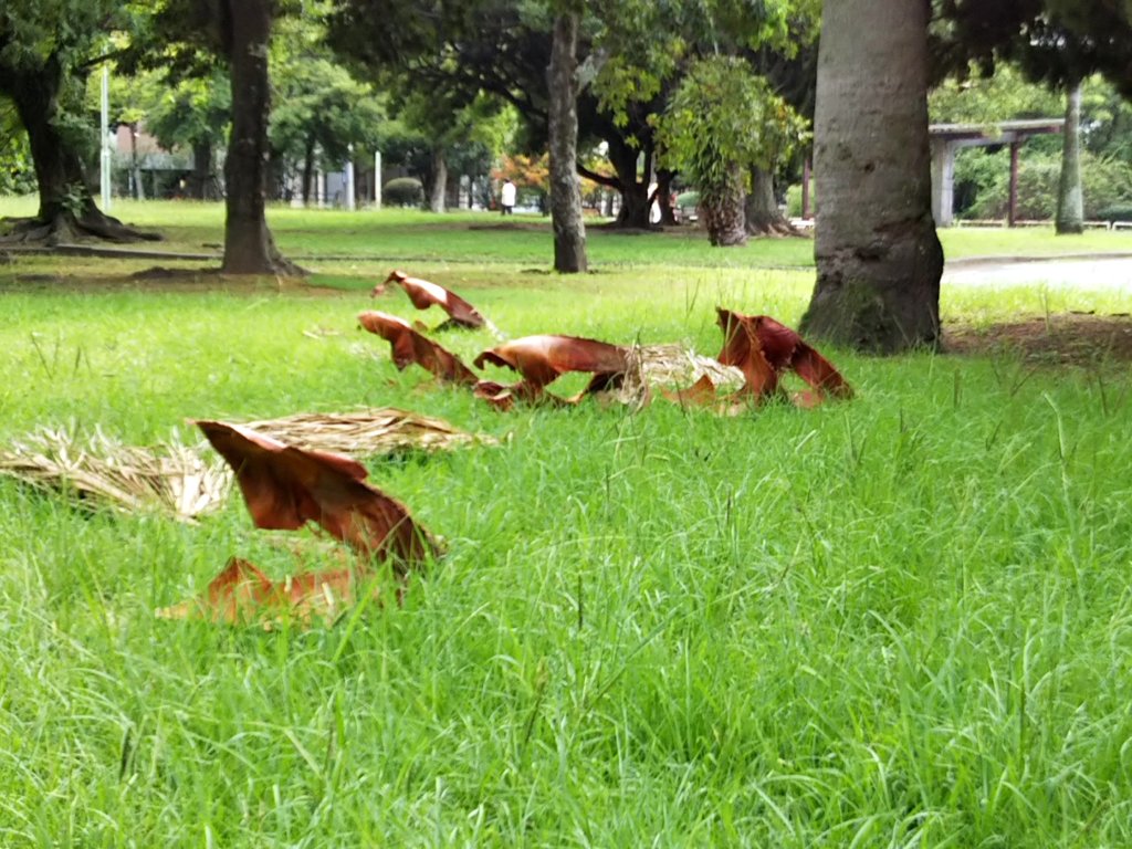公園で変な生き物に遭遇
