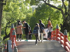 太宰府天満宮　太鼓橋