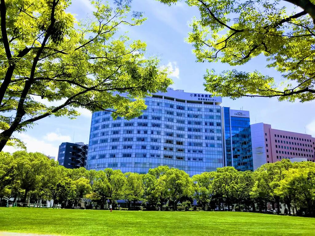 都市中の夏の公園