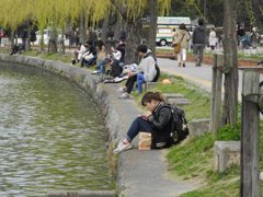 公園のひととき