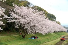 太宰府　水城堤２