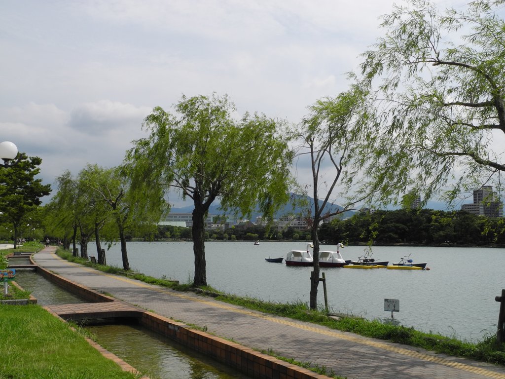 公園
