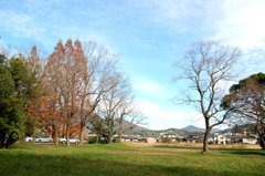 暖かき冬の日の景色