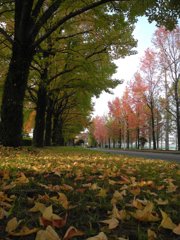 九州大学　筑紫キャンパス２