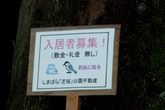 巣箱に入居者募集