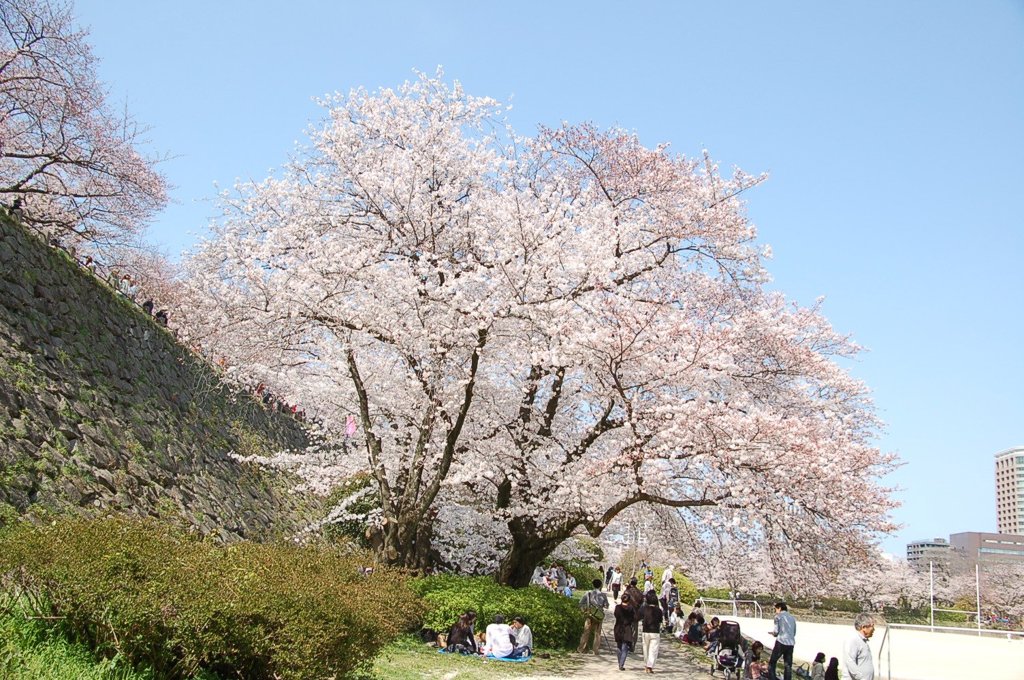 福岡市舞鶴公園