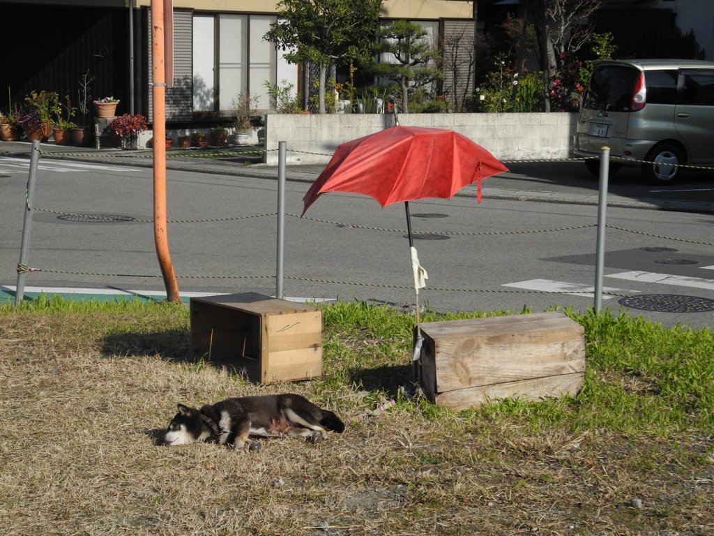 正月の一枚