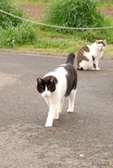 何撮っているぞな