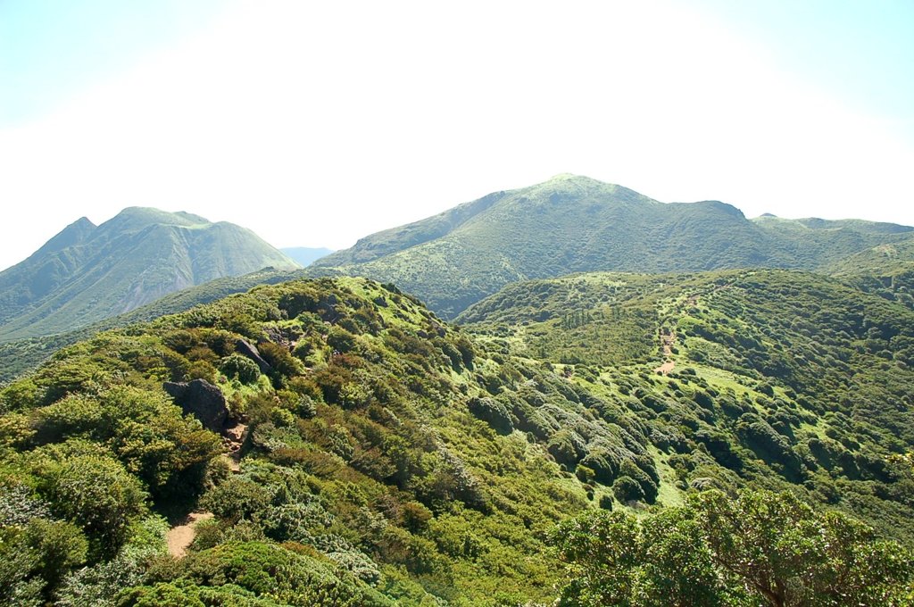 夏山　大分県久住