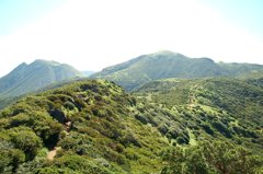夏山　大分県久住
