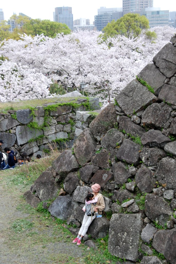 母子と桜