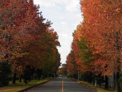 九州大学　筑紫キャンパス