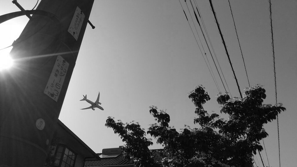 飛行機