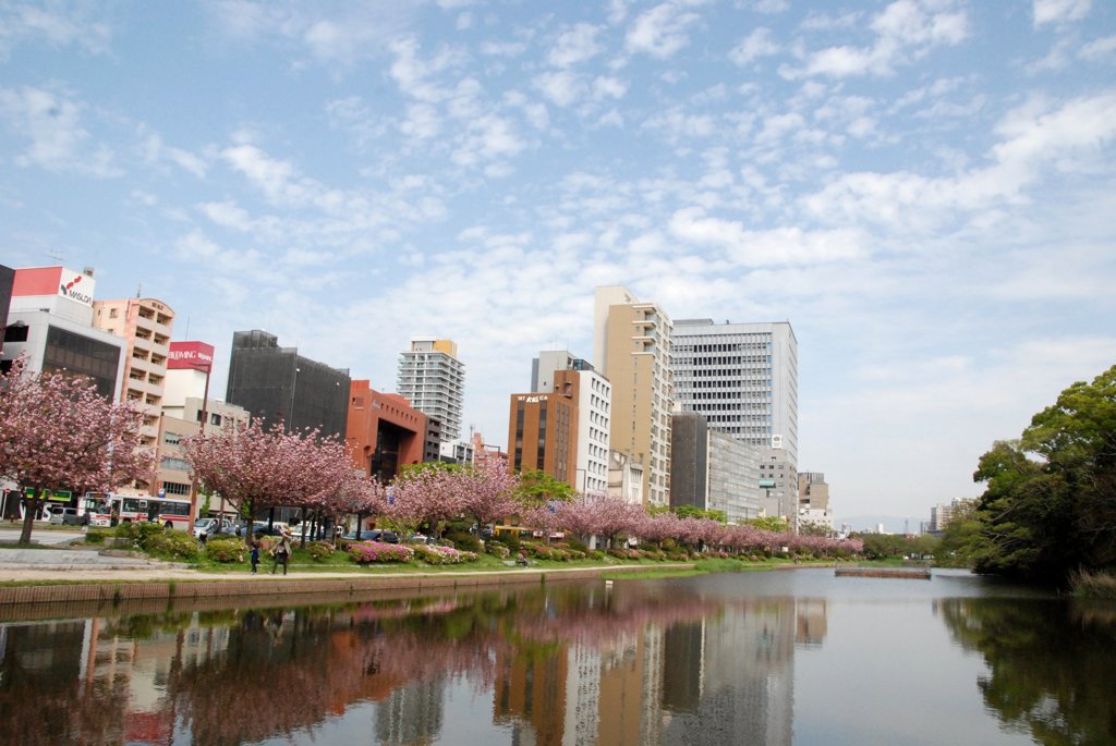 都会の八重桜