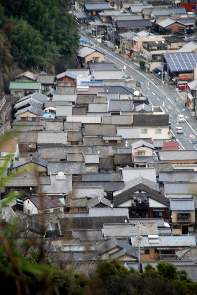 屋根