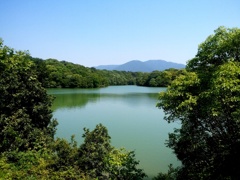 初夏のため池