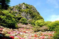 佐賀　御船山　つつじ
