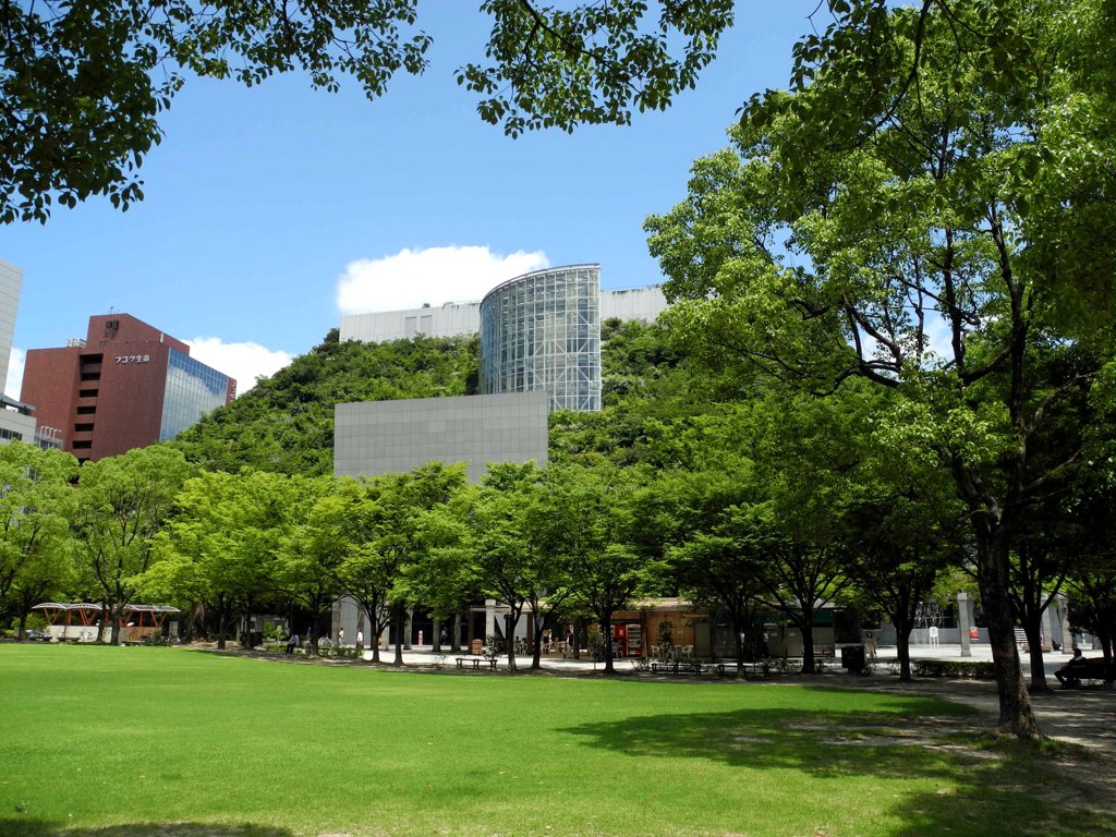 初夏の色