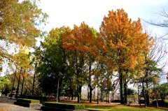 近くの公園にて