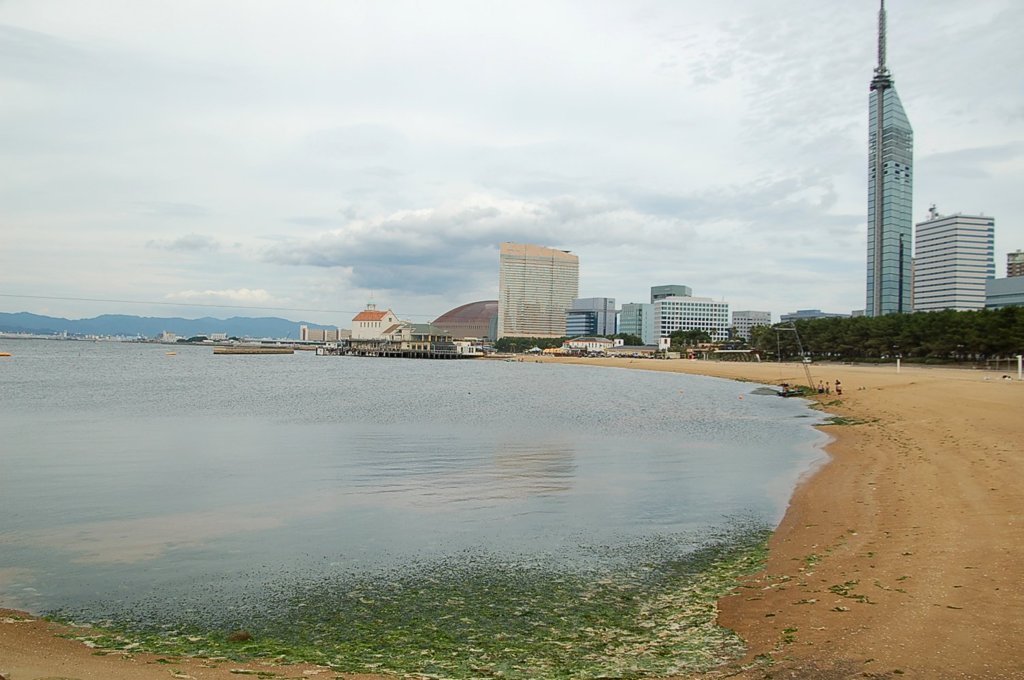 福岡市百道