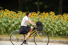 ひまわりと女子高校生