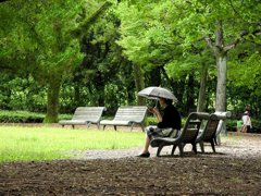 新緑の公園にて