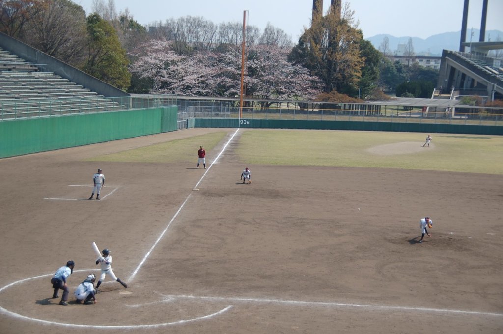 桜も観客です
