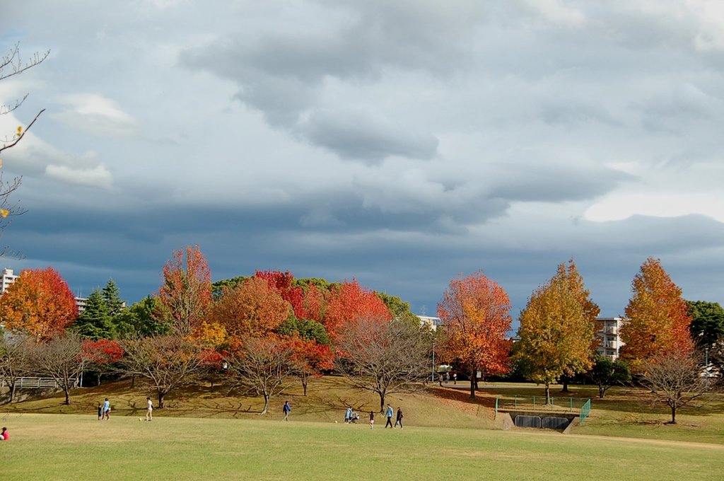 近くの公園にて