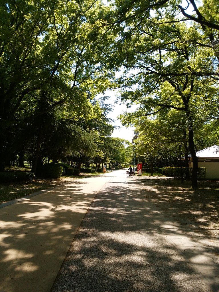 4月末の緑の公園