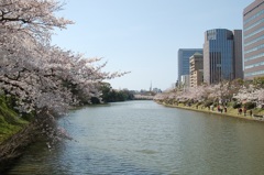 福岡市舞鶴公園