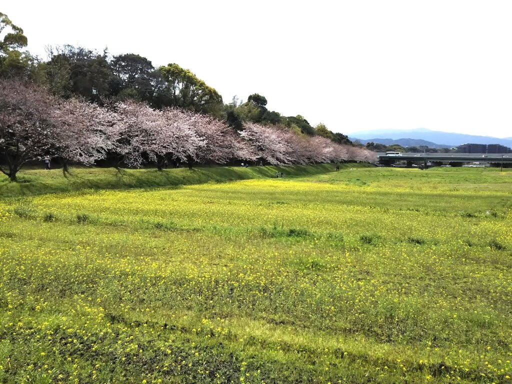 水城堤