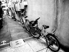 尾道　駅前商店街にて