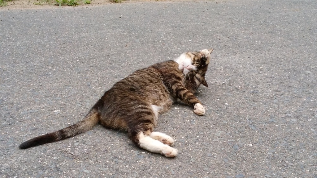 首ごきって鳴ります