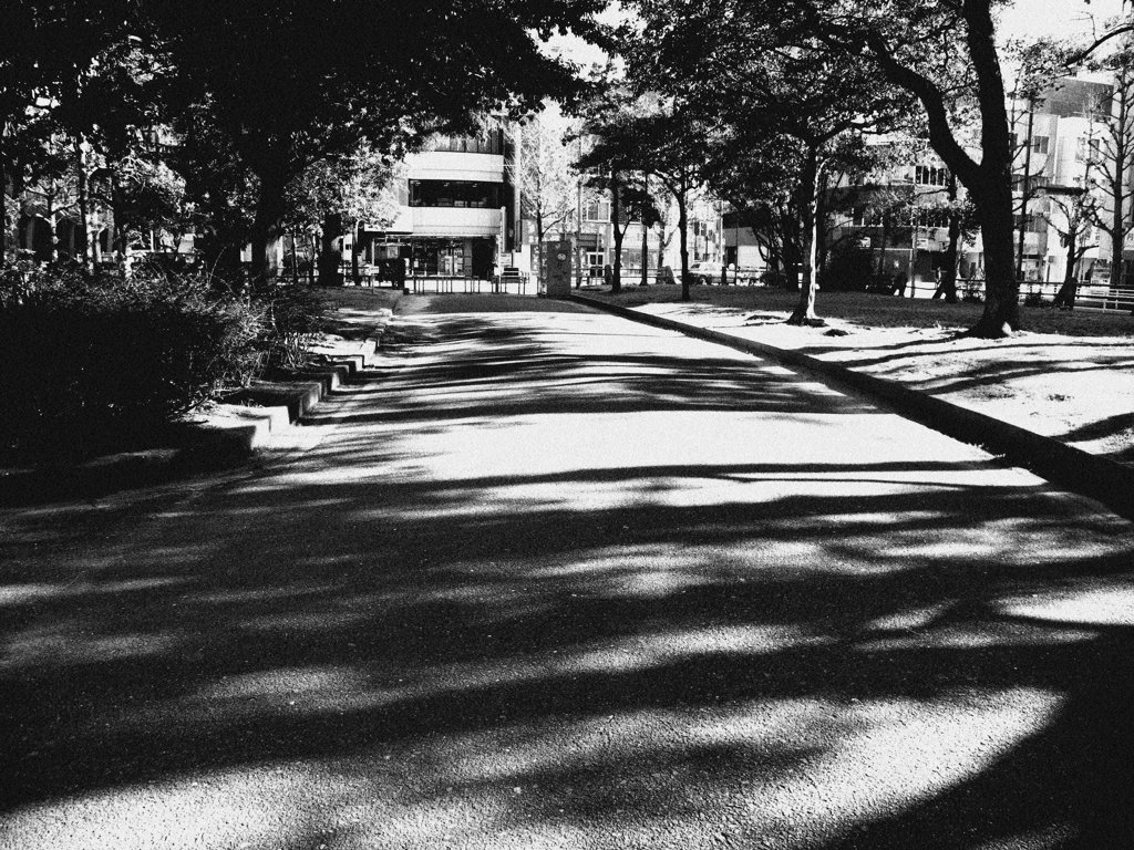 公園のひととき