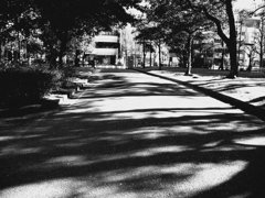 公園のひととき