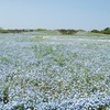 福岡市海の中道海浜公園