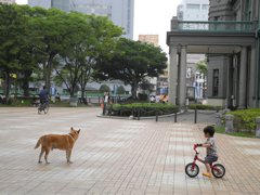 子供と犬