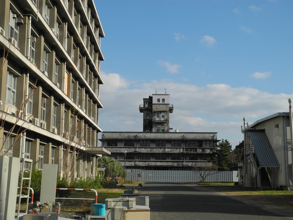 箱崎九州大学