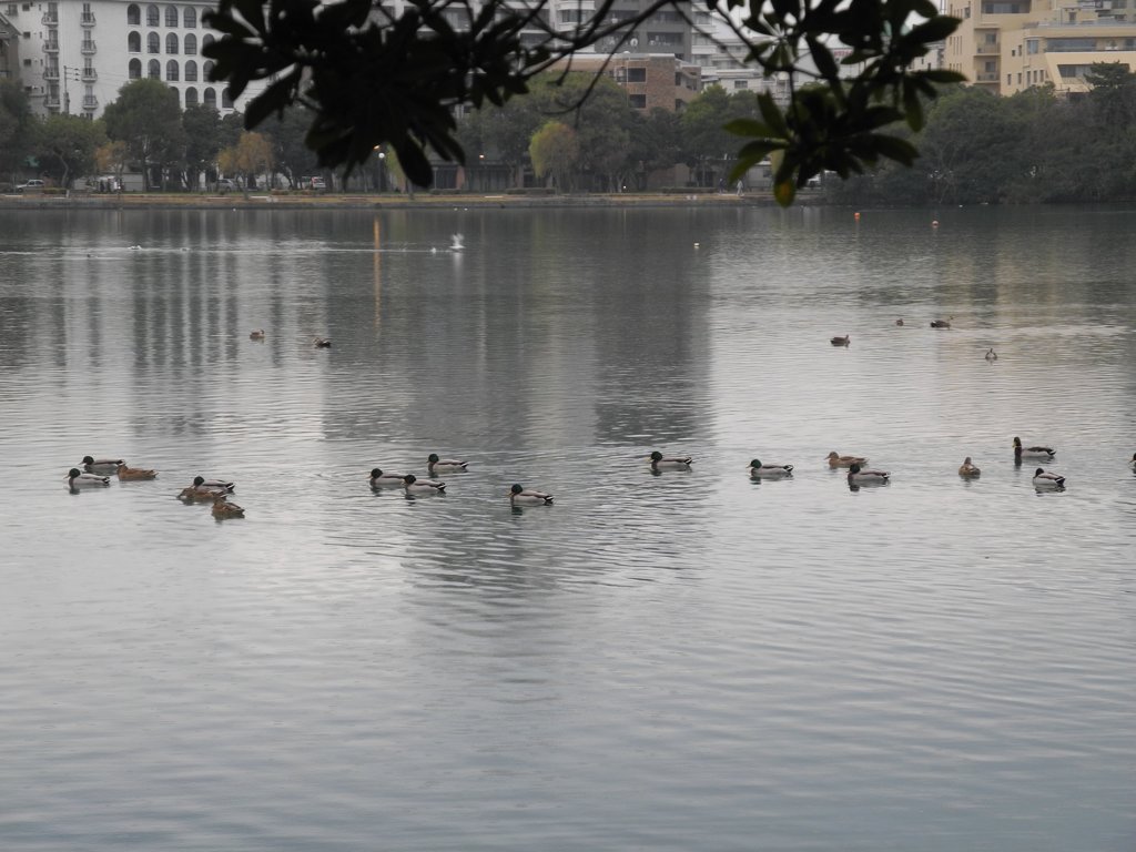 のんびりしたい